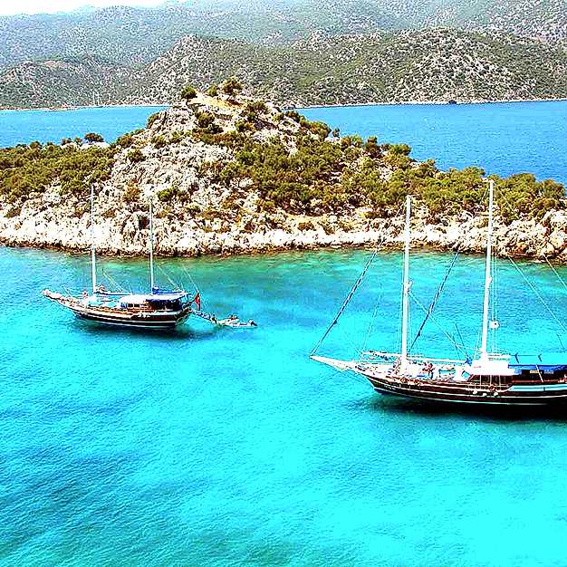 Akvaryum Koyu'nda Yüzmek